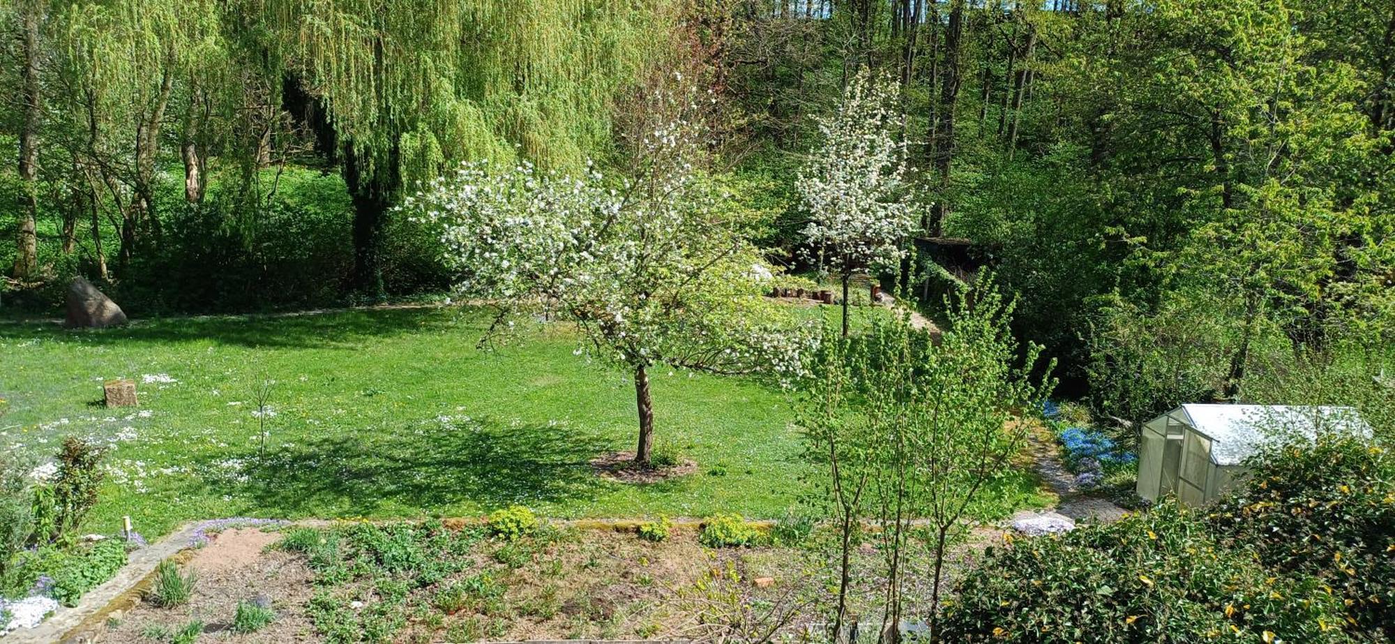 Wohnung In Medlitz Rattelsdorf Екстер'єр фото